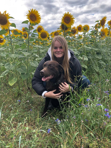 Charly mit Hund in Sonnenblumenfeld