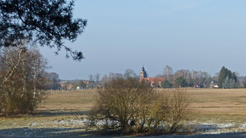 Blick auf die Basdorfer Kirche über eine sonnenbeschienene Wiesenlandschaft im Vordergrund hinweg.